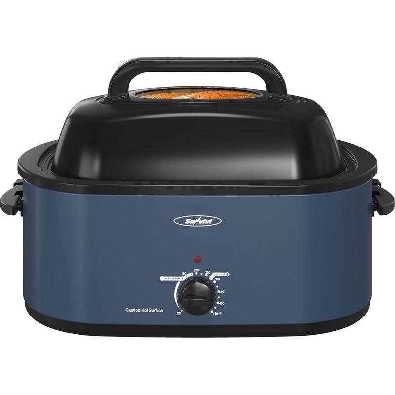 22qt Roaster Oven with Transparent Glass Lid Window, Removable Pan & Rack, Stainless Steel, Silver - Blue