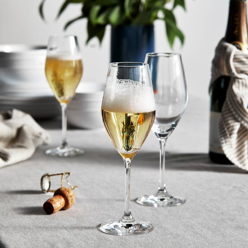 ZWILLING Predicat 6-pc Champagne Flute Set - Clear - 8.9-oz