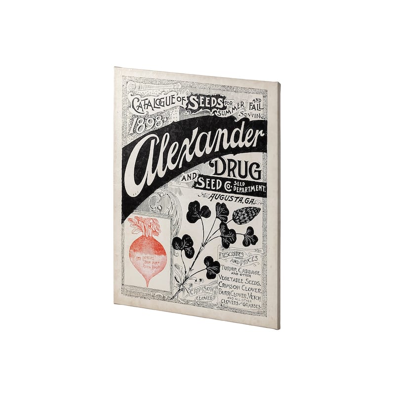 Antique Seed Packet XIV (40 x 55) Canvas Art Print