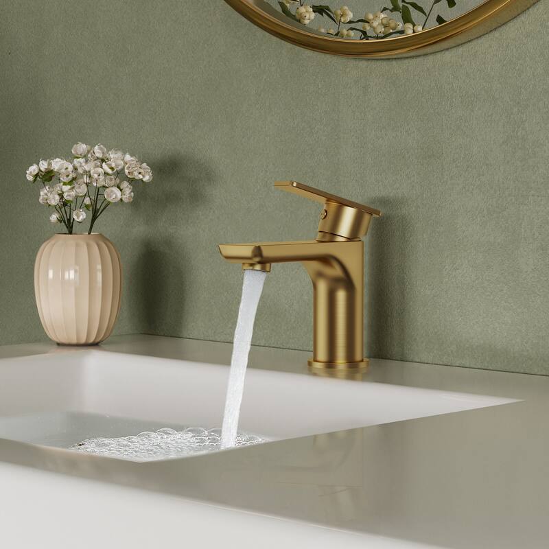 Single Hole Bathroom Faucet with Drain Assembly, Single Handle Bathroom Sink Faucet