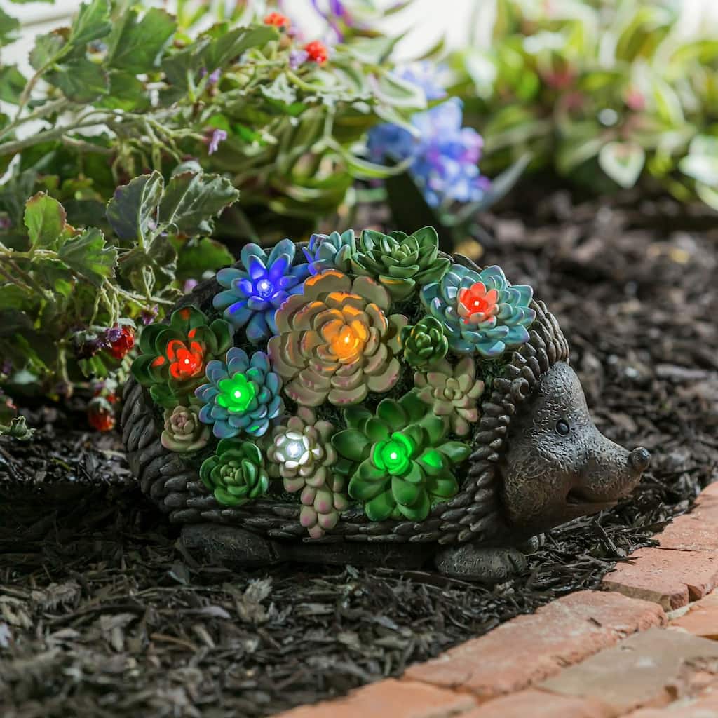 Solar Resin Succulent Hedgehog