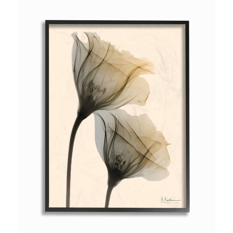 Stupell Neutral Light Flower Photograph Framed Wall Art