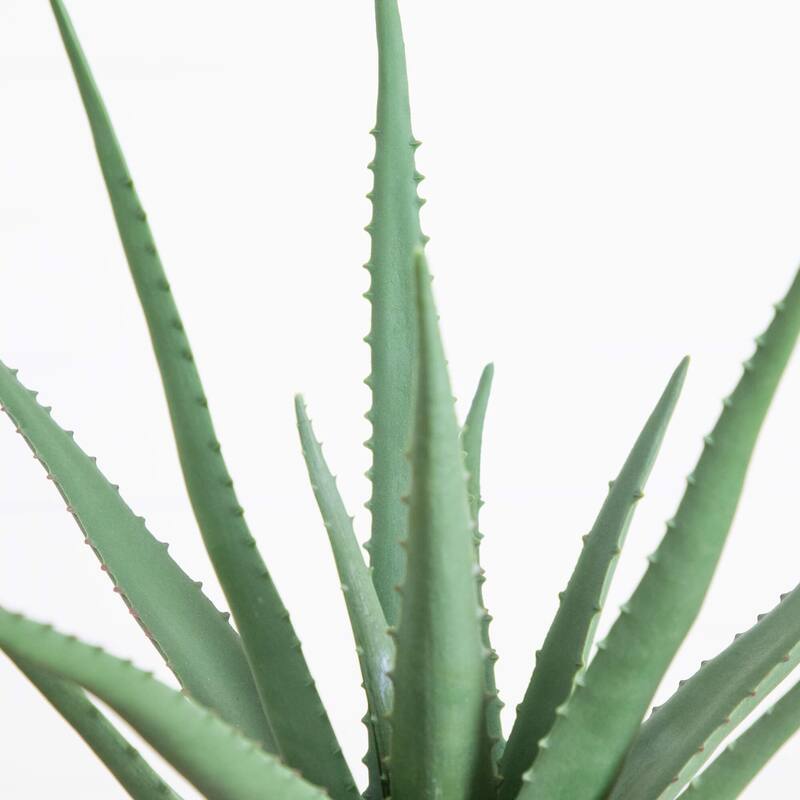 17.5-in Artificial Agave Plant - Green