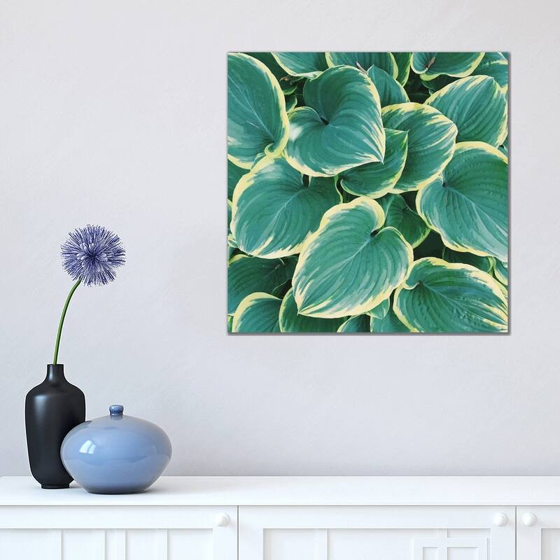 iCanvas "Some Like It Hosta" by Chelsea Victoria Canvas Print - 18x18x1.5