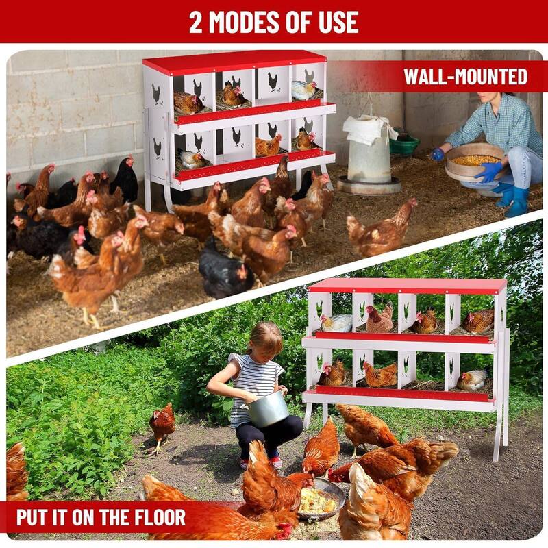 Chicken Nesting Boxes with Roll Out Egg Collection and Legs