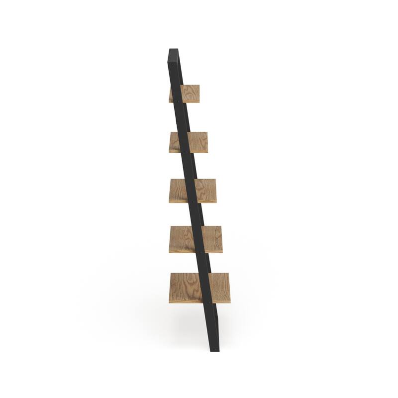 Ranell Leaning Ladder Shelves by iNSPIRE Q Modern