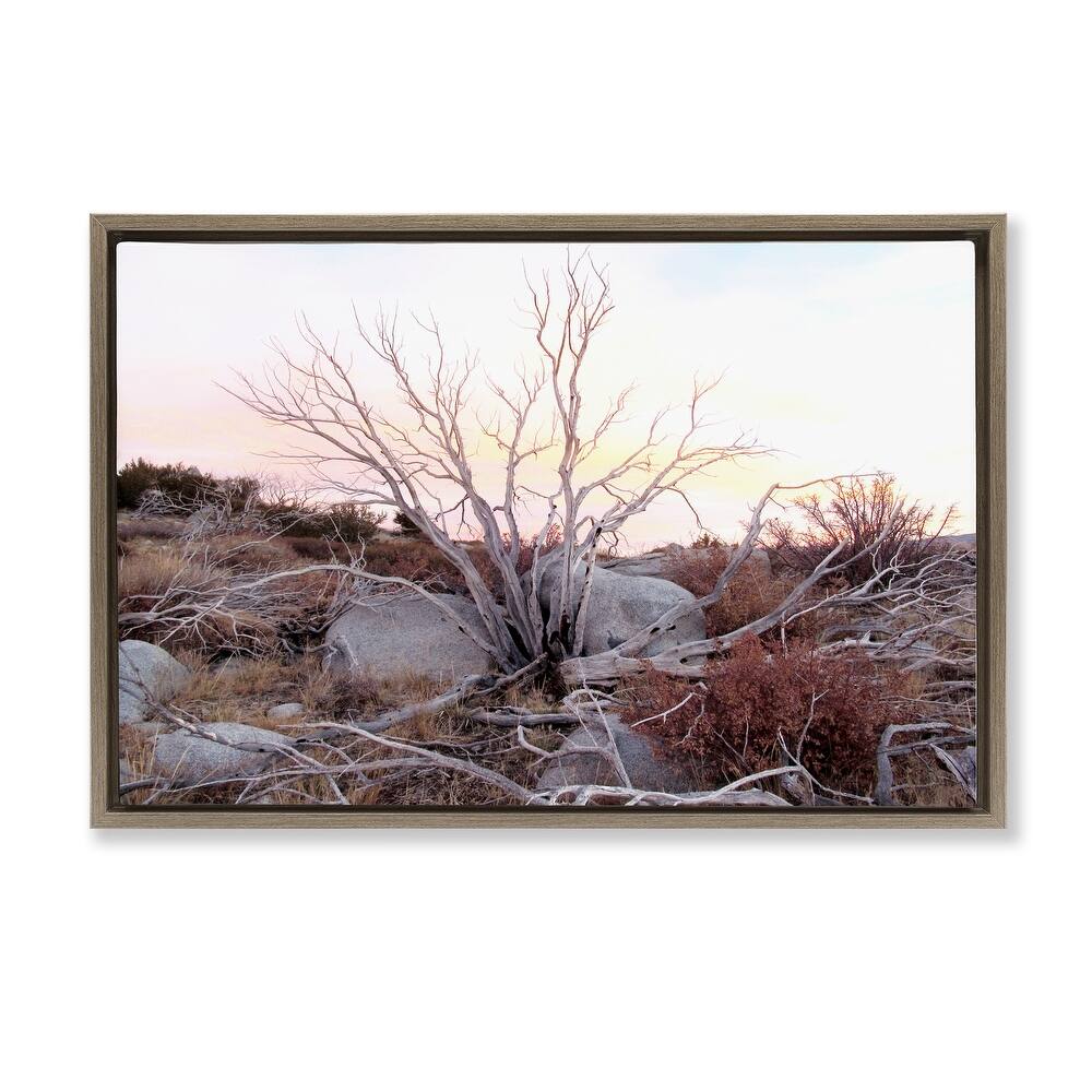 Stupell Rocky Foothills Terrain Framed Floater Canvas Wall Art Design By Gemma Bardot