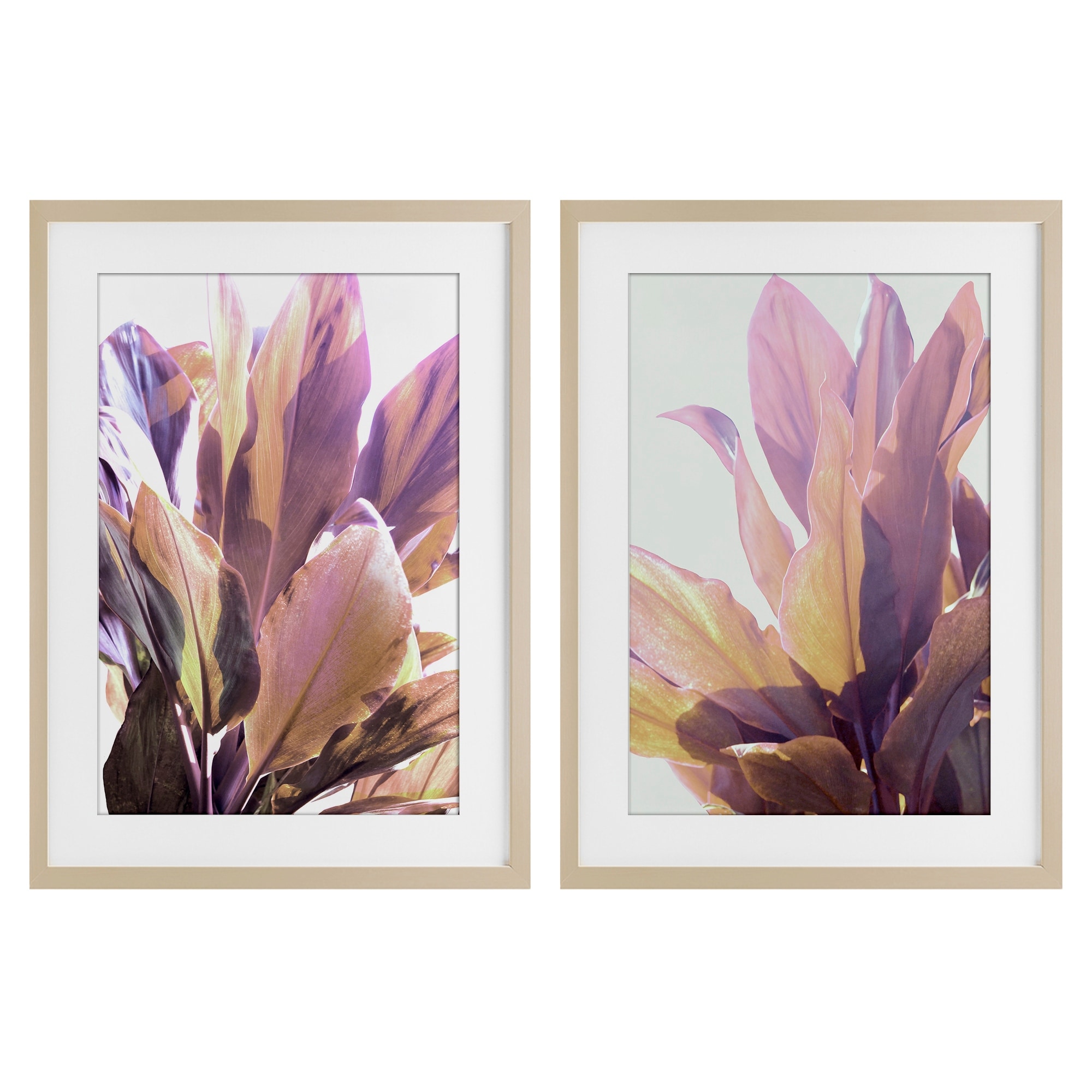 Stupell Sunlit Tropical Leaves Framed Art Design By Gemma Bardot (Set of 2)