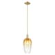 Option Champagne Bronze / Amber Shade