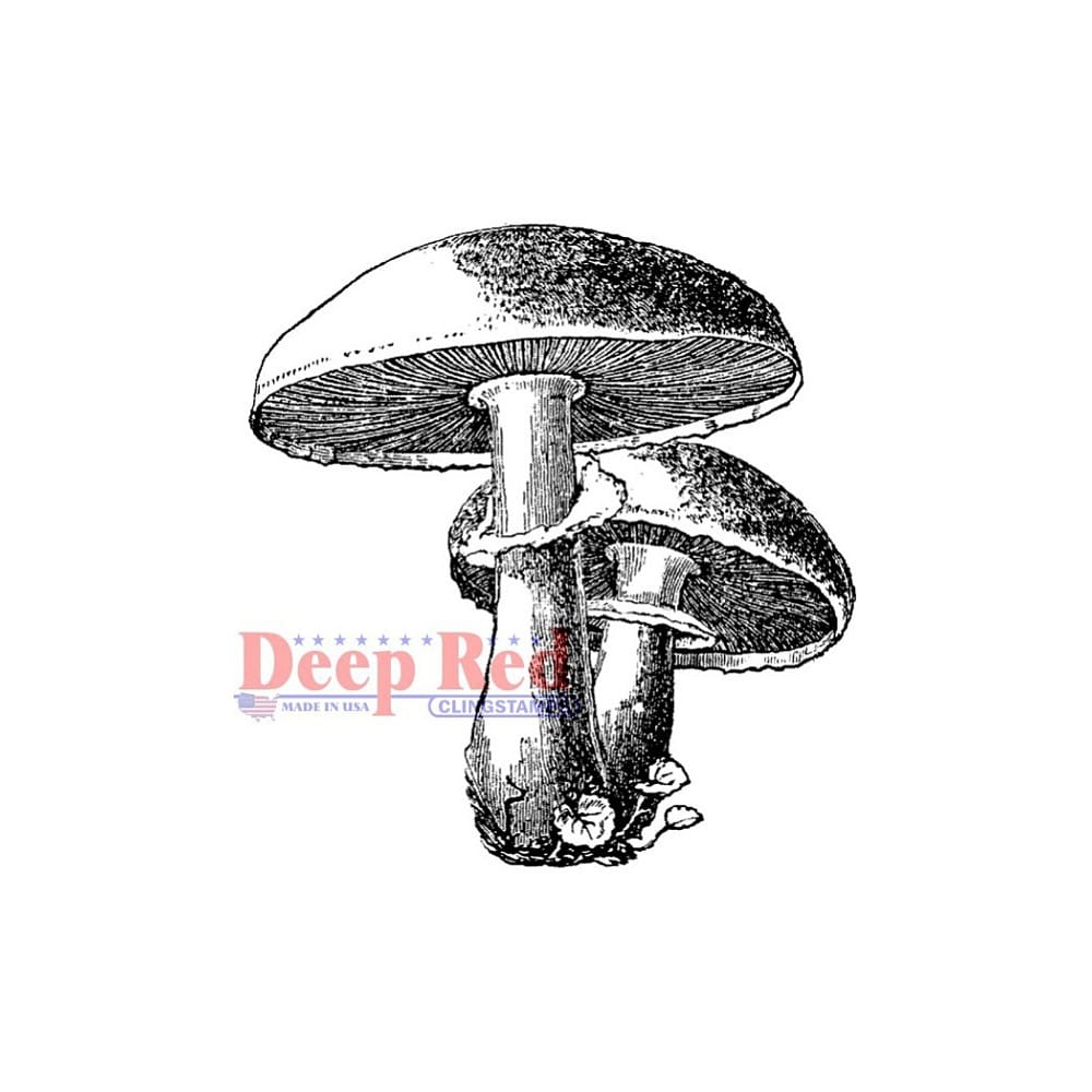 Deep Red Cling Stamp 2X2-Mushrooms