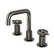 Option Black Stainless