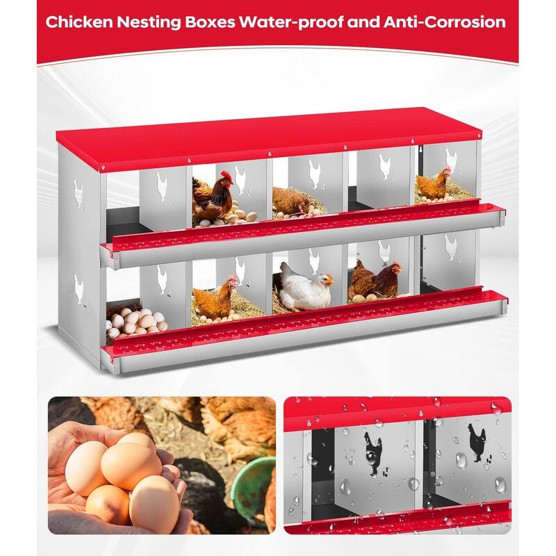 10 Compartment Nesting Box, Chicken Laying Box, Easy to Clean and Install