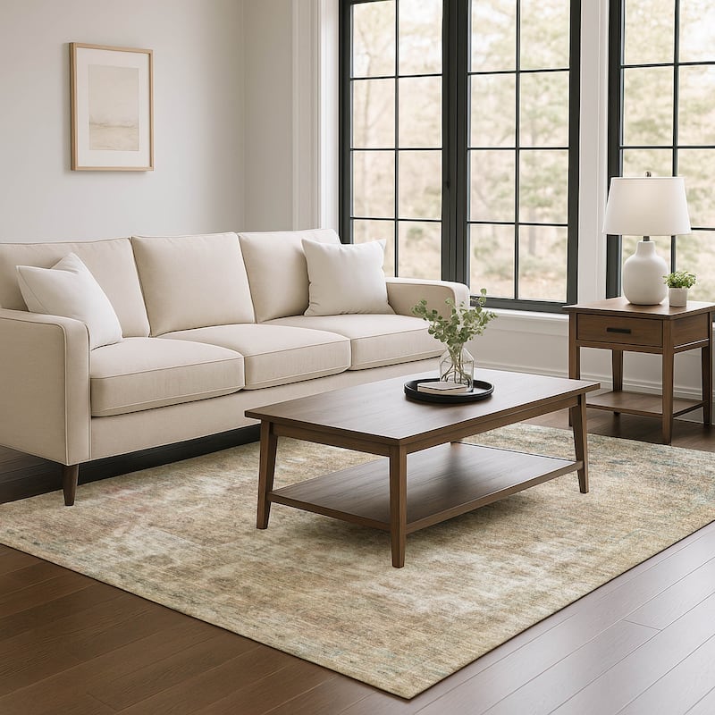 Premium Washable Super Soft Vintage Traditional Mayfield Rug - Beige - 9' x 12'