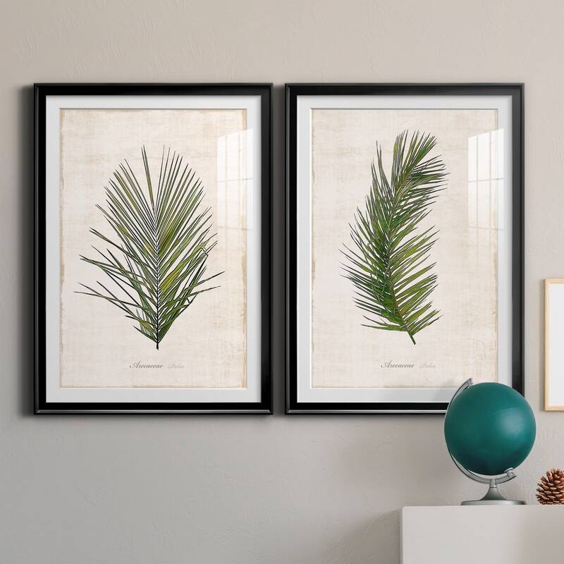 Palm Botanical I Premium Framed Print - Ready to Hang