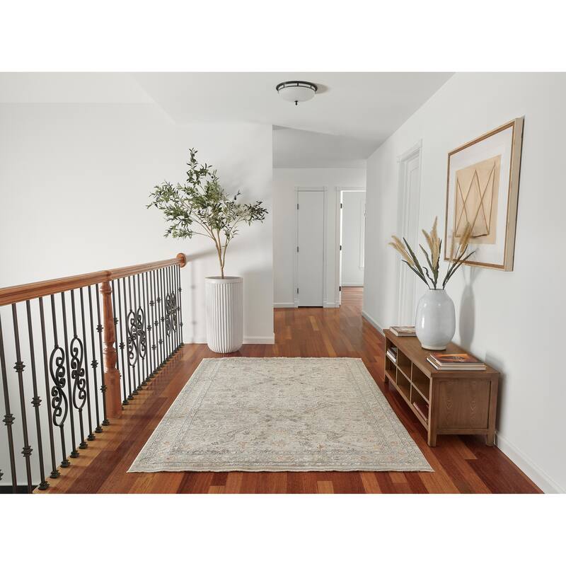 Momeni Cambridge Viscose Traditional Area Rug