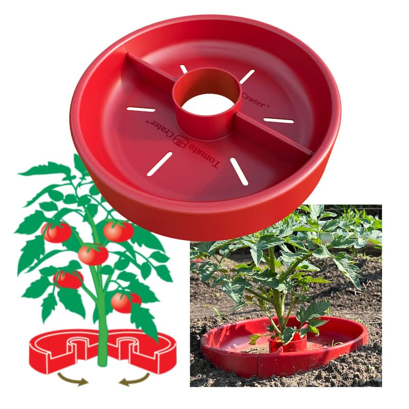 Tomato Crater Gardening Tool for Healthier Tomatoes, 12” Red - 1PK