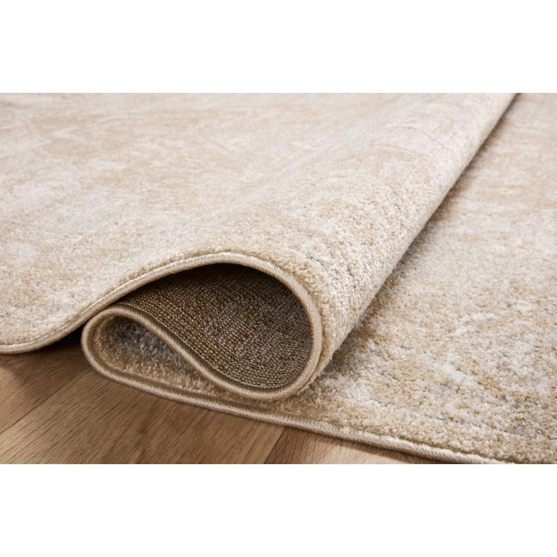 Alexander Home Colette Vintage Shabby Chic Area Rug