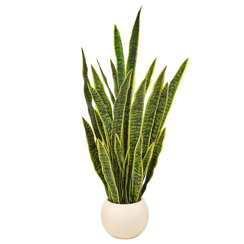 53" Potted Sansevieria Plant
