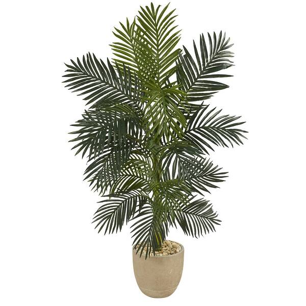 oval planter indoor Beige Cement Oval Planter Collection - Medium