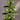 100mm Shatterproof Plastic Matt Mercury Ball Ornament Set of 2