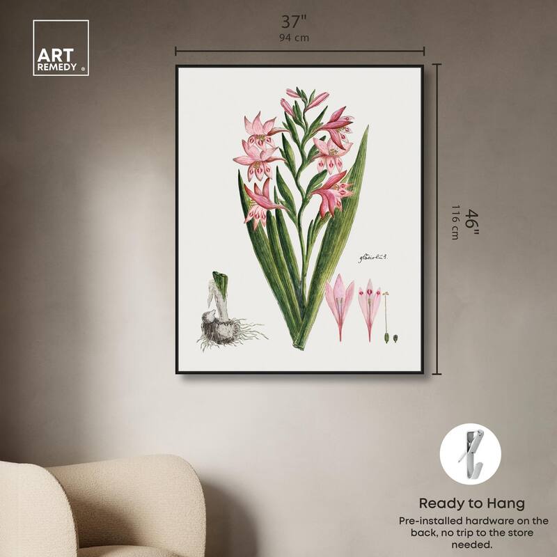 Gladiolus Carneus Canvas by Art Remedy