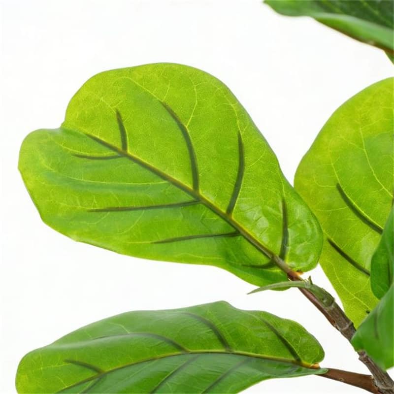 Artificial Fig Tree, Potted Plant, used For home and Office decoration, Green