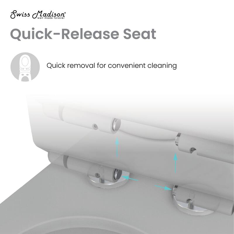 Dreux One Piece Elongated Dual Flush Toilet In Matte Grey 0.95/1.26 Gpf - 27.56" x 15.75" x 29.53"
