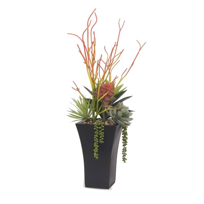 Pencil Cactus, Agave, Succulents Floral in Black Square Pot - Green - 16Wx12Dx20H