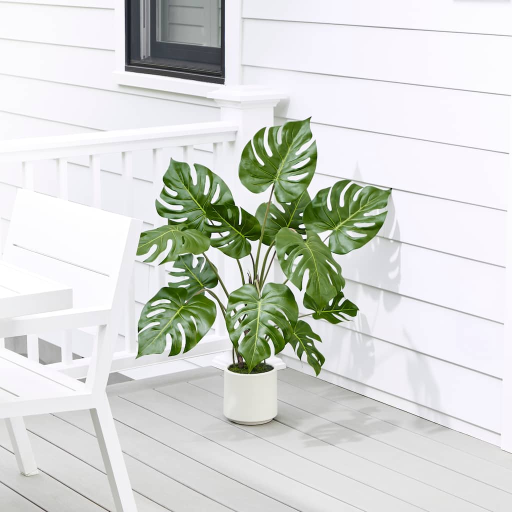 3' UV Potted Monstera Plant