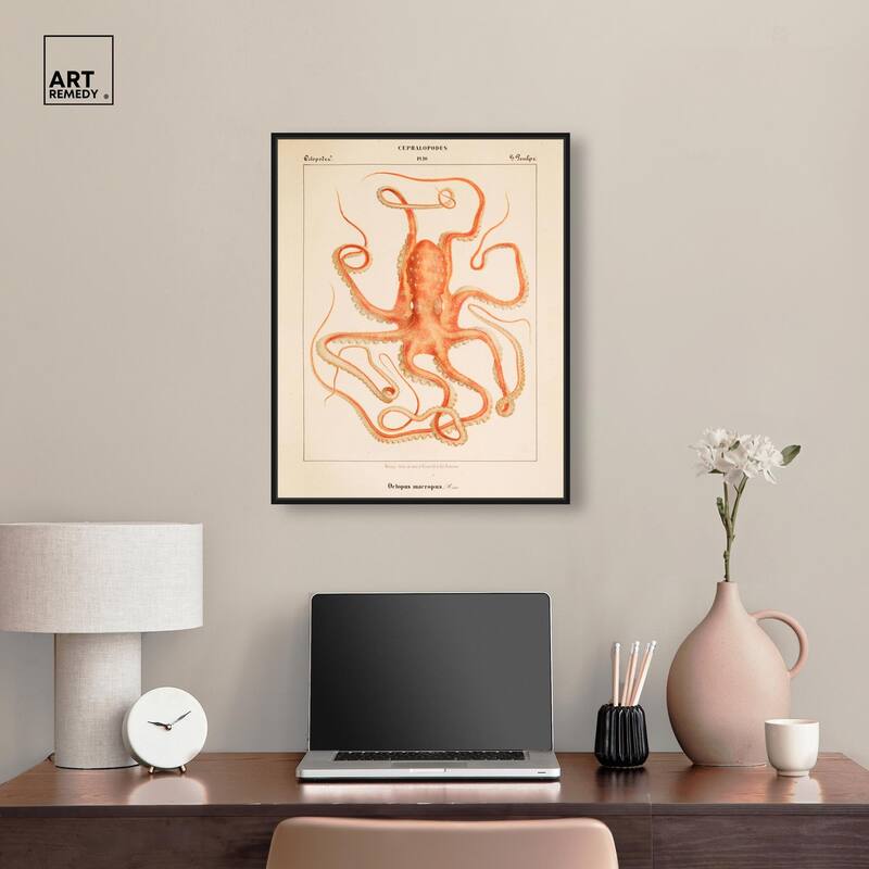 Verany The Octopus 1815 I Canvas by Art Remedy