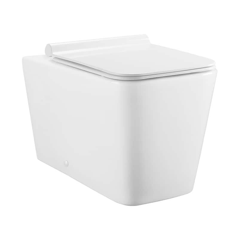 Bastille Back To Wall Concealed Tank Toilet Bowl Bundle In Glossy White - 22.63" x 13.77" 15.94" - 22.63" x 13.77" 15.94" - White