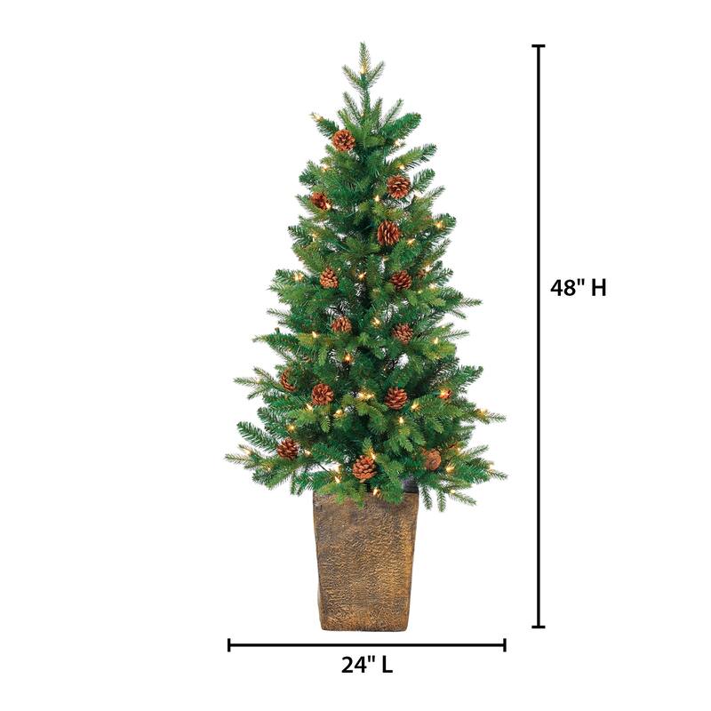 Charming 4 Foot Potted Natural Cut Georgia Pine