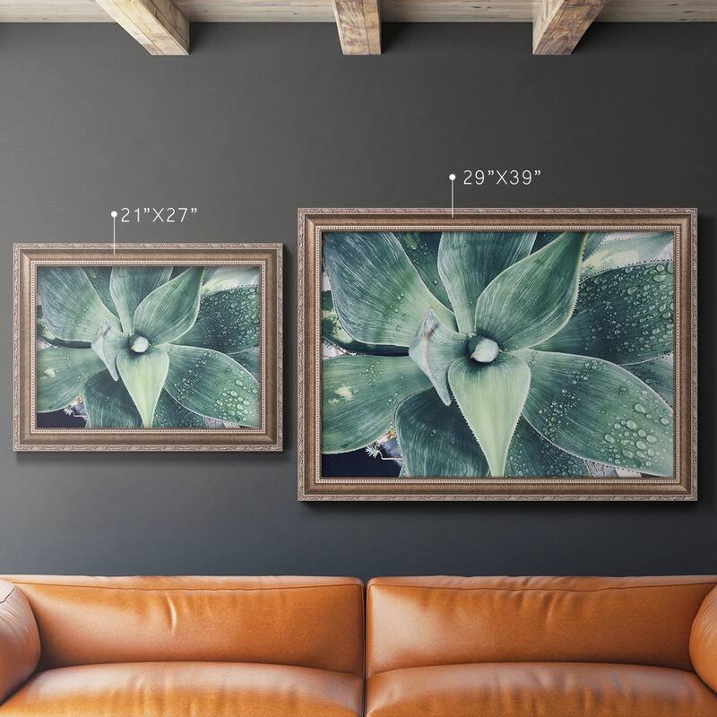 Green Tropical Succulent VIII Premium Framed Canvas- Ready to Hang