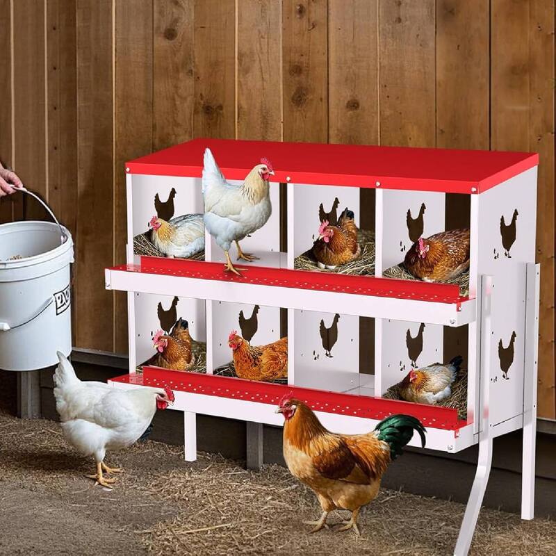 Chicken Nesting Boxes with Roll Out Egg Collection and Legs