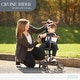 preview thumbnail 14 of 16, Evolur Cruise Rider Stroller With Canopy