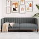Option Dark grey 2-Seater