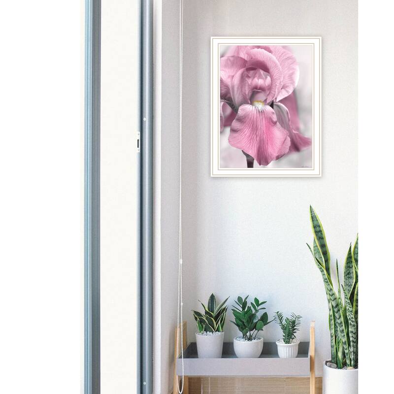 TrendyDecor4U "Pink Iris" Framed Print Wall Art