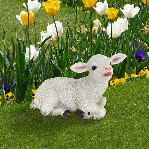 Sitting Yorkshire Lamb