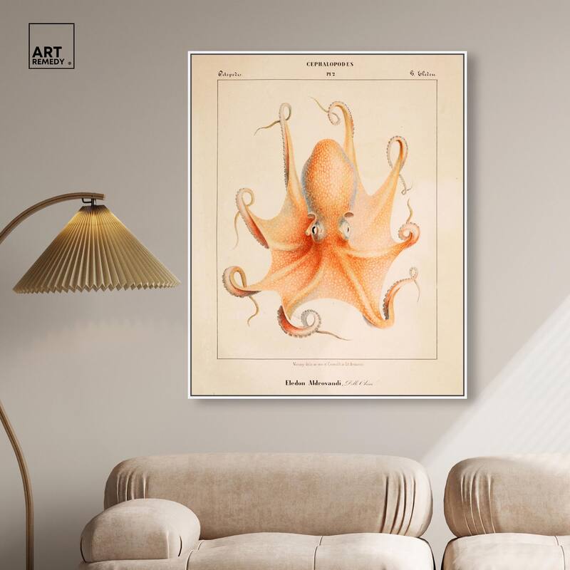 Verany The Octopus 1815 II Canvas by Art Remedy