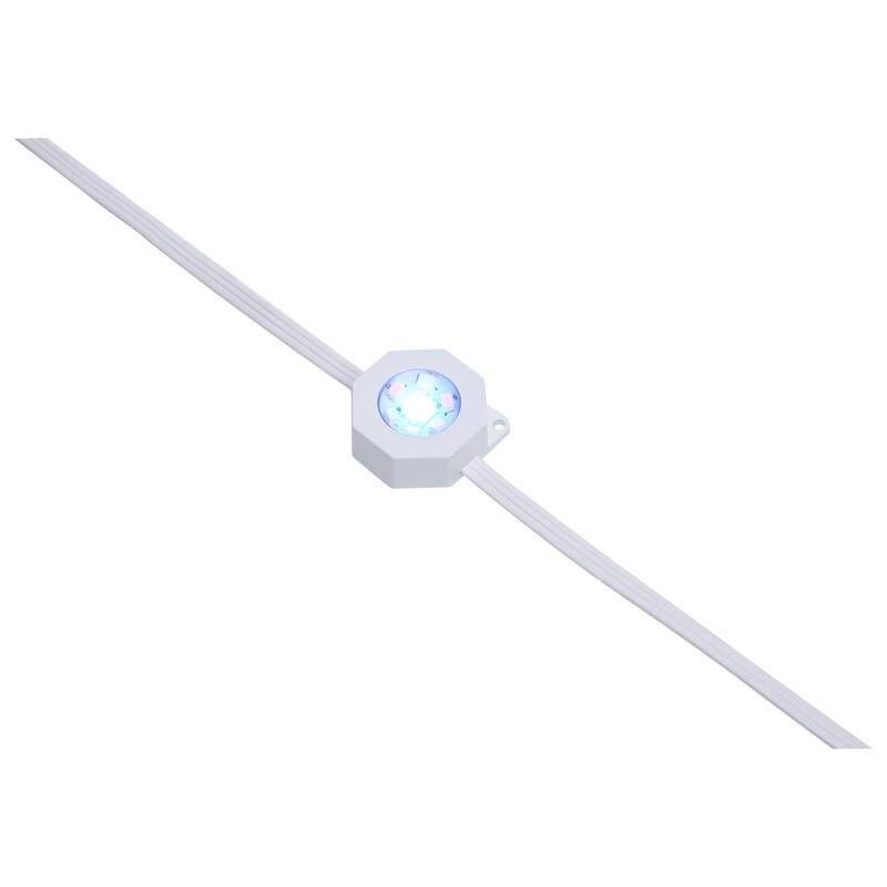Starfish 12 Watt 25 Foot LED Eave String Light Extension RGBTW White 120