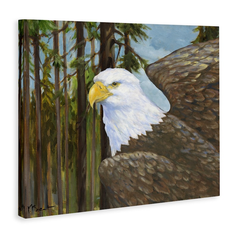 Stupell Woodland Eagle's View Canvas Wall Art Design By Paul Brent