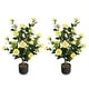 preview thumbnail 9 of 7, Set of 2 Artificial Camellia Trees 36 Inch Lifelike Indoor Decorative Plants with Cement Pots - 5" x 36"