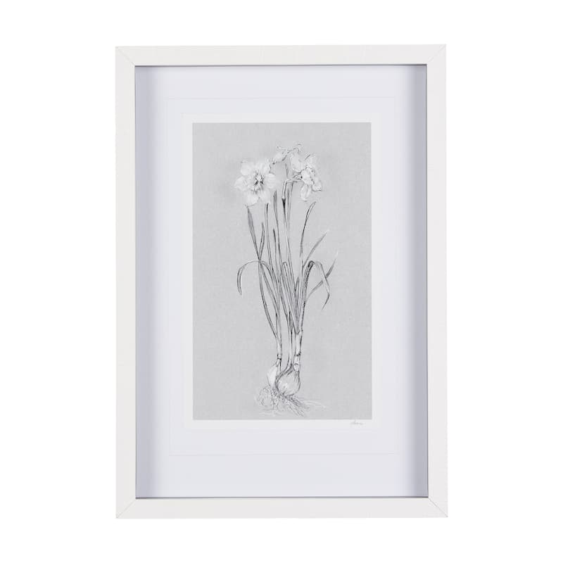 Botanical Sketches II (Grey) Framed Art Print
