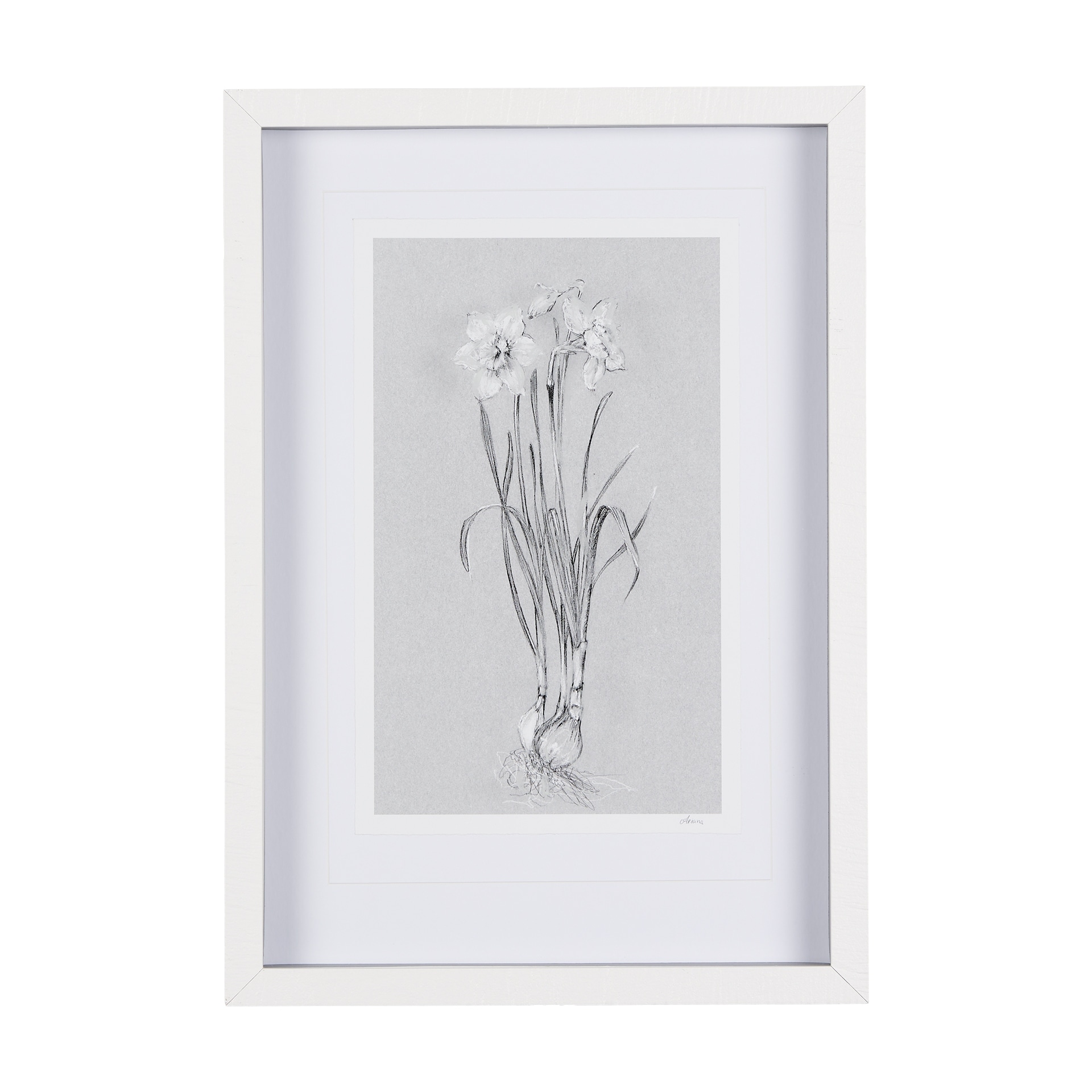 Botanical sketches II (Grey) by Mercana Studio Hand Embellished Framed Art Print Matted under Glass