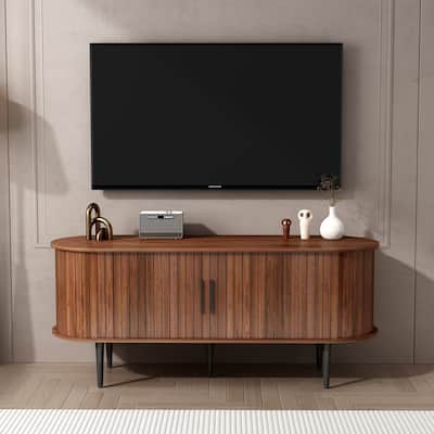 47" Modern TV Stand with Storage Compartment and Sliding Door