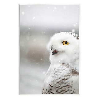 Stupell Snowy Owl Winter Gaze Wall Plaque Art, Design by Carrie Ann ...