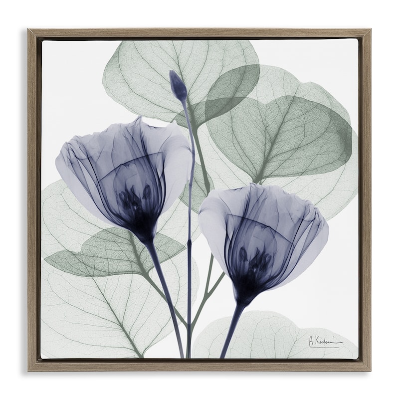 Stupell Contemporary Eucalyptus & Herbs Framed Floater Canvas Wall Art Design By Albert Koetsier - 18 x 18 - Brown