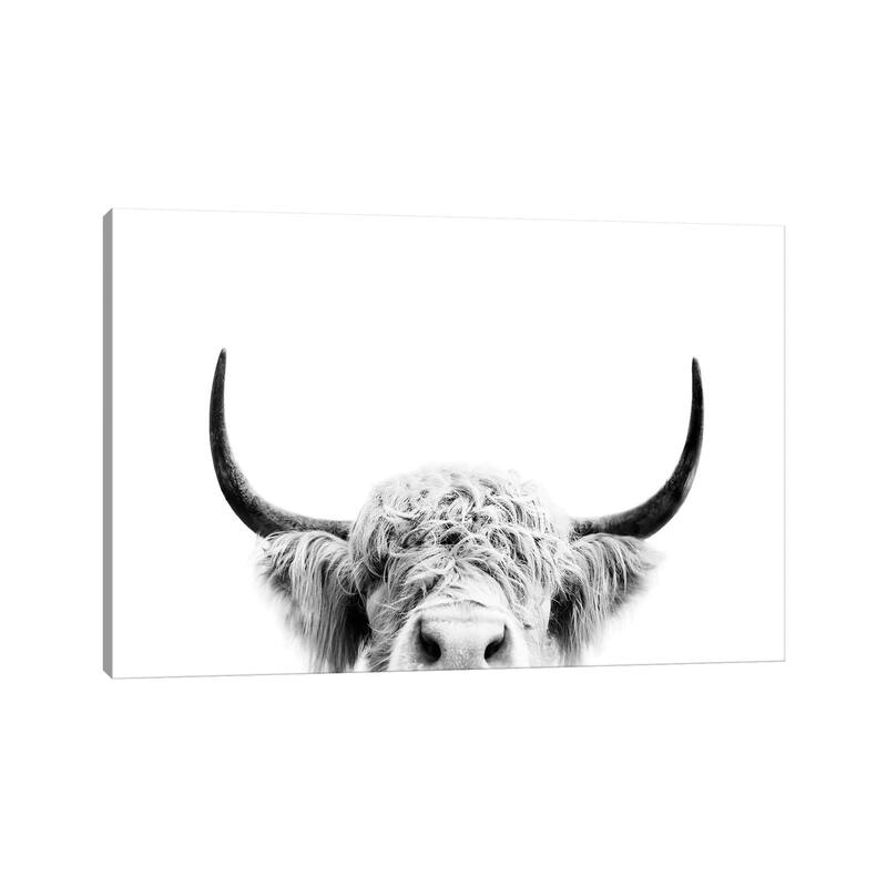 iCanvas "Peeking Cow In Black & White" by Sisi & Seb Canvas Print