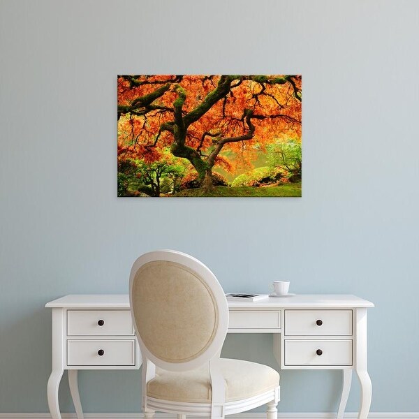 Easy Art Prints Michel Hersen's 'Japanese Maple In Full Fall Color' Premium Canvas Art