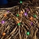 preview thumbnail 4 of 2, Celebrations Multicolored 100 ct LED Mini Halloween String Lights